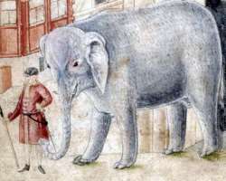 An elephant used to live at the Edinburgh castle that came from Sri Lanka in 1838. It is said that he used to drink beer before going to bed every day